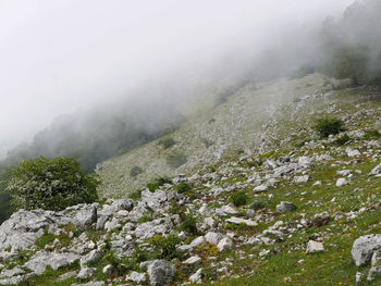 Beautiful rural landscape walking along the mount autore, in italy