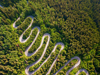 High angle view of road amidst trees in forest