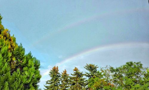 Low angle view of rainbow against sky
