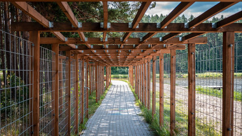 Wooden pergola above cobblestone sidewalk leading along lake shoe and forest. one-point perspective.