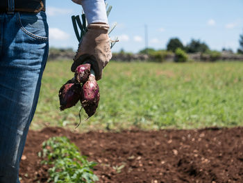Man holding ice cream on field