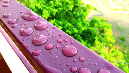 Close-up of water drops on leaves
