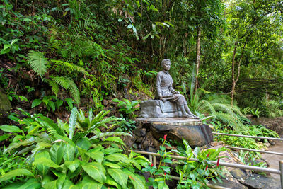 Statue amidst trees in forest