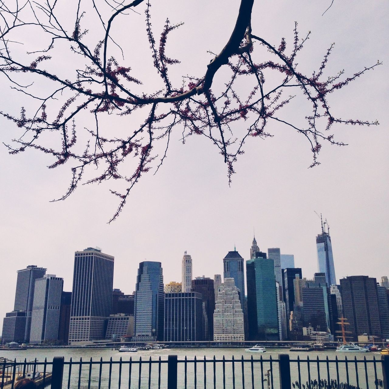 building exterior, architecture, skyscraper, built structure, city, modern, office building, branch, tall - high, tree, tower, bare tree, urban skyline, cityscape, low angle view, clear sky, financial district, sky, building, city life