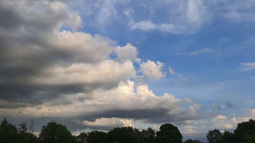Low angle view of trees against sky