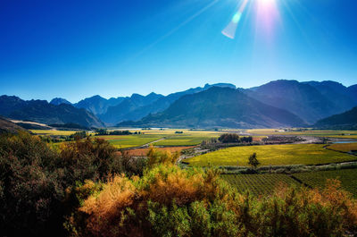 Scenic view of field against clear sky