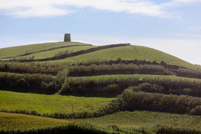 Scenic view of agricultural field against sky