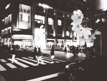 View of flowers in city