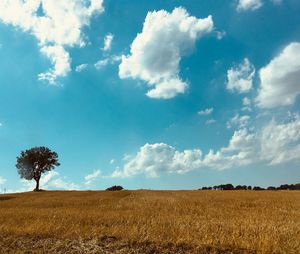 Scenic view of field against sky