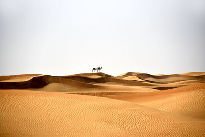 Scenic view of desert against clear sky