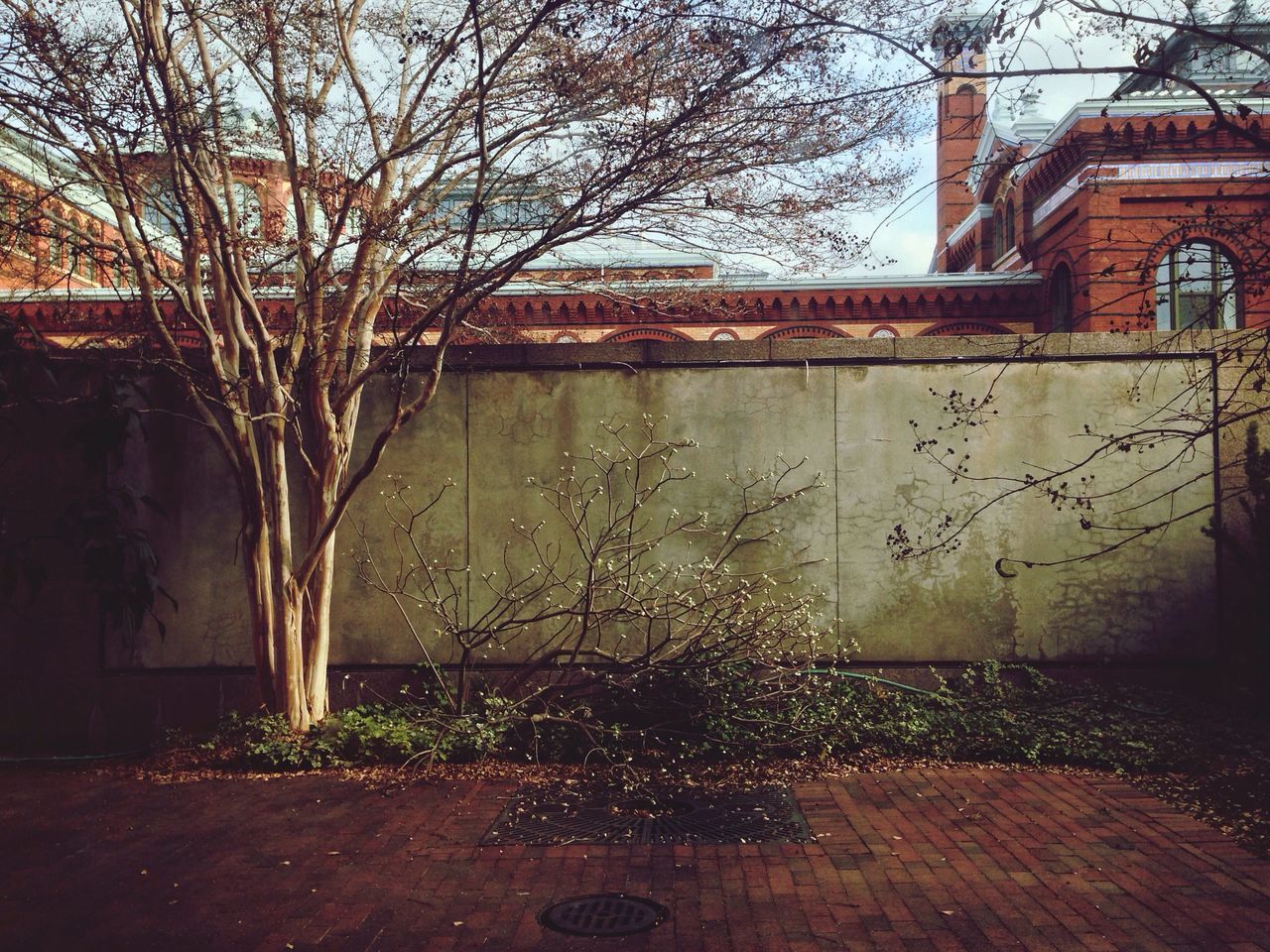 building exterior, built structure, architecture, house, tree, wall - building feature, window, day, bare tree, building, street, no people, outdoors, residential structure, residential building, branch, plant, city, old, sunlight