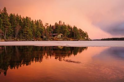 Reflection of trees in lake