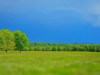 Scenic view of field against clear blue sky
