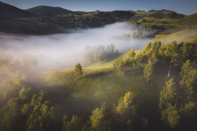 Scenic view of landscape against sky during autumn