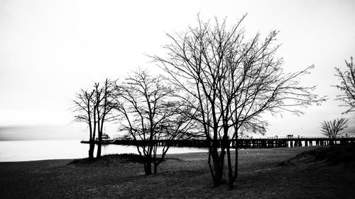 Bare trees on landscape against sky