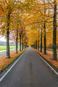 Road passing through trees during autumn