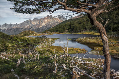 Scenic view of lake and mountains