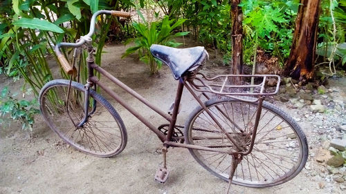 Bicycle parked by tree on field