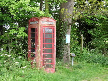 Red telephone booth by trees against plants