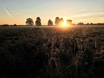 Scenic view of field against sky during sunset