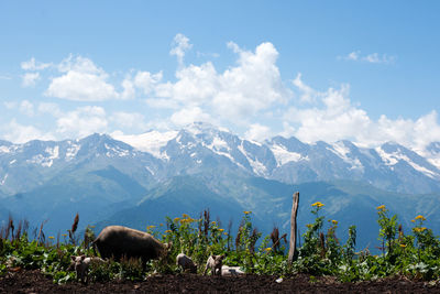 Scenic view of mountains against sky