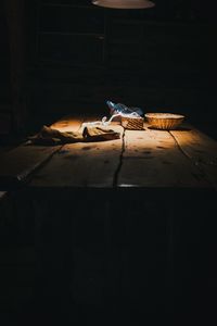 A dog sleeping on wooden floor