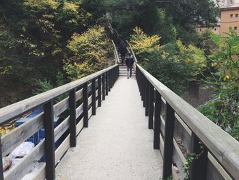 Footbridge along trees