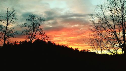 Silhouette of trees at sunset