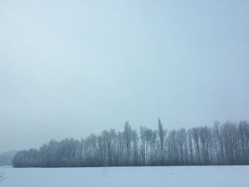 Trees on snow covered landscape against clear sky