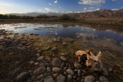 Scenic view of lake against sky