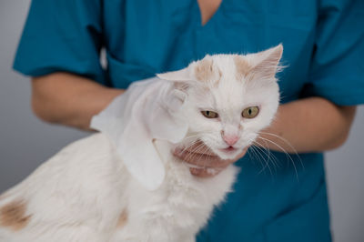 Midsection of man holding cat