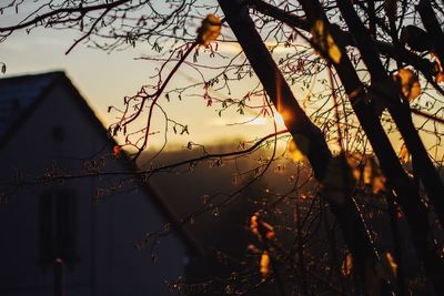 View of sky at sunset
