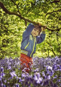 Portrait of boy holding branch while standing amidst bluebells