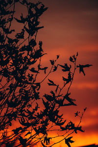 Low angle view of silhouette tree against orange sky