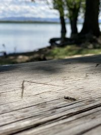 Surface level of wooden bench on footpath