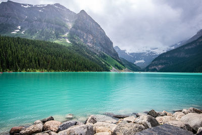 A cloudy cold day in lake louise, alberta. view against the turquoise blue waters, trees, mountains.