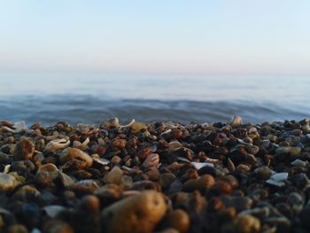 Pebbles on beach against clear sky