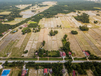 High angle view of agricultural field