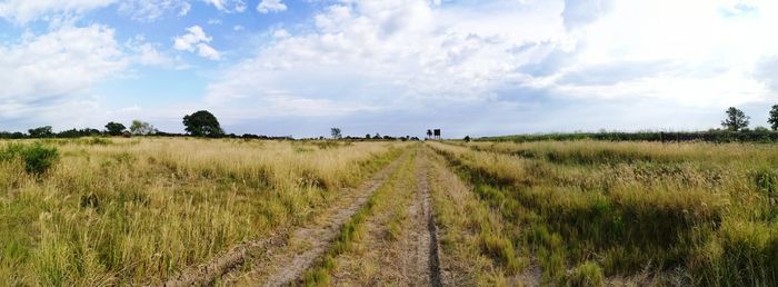 Panoramic shot of field against sky