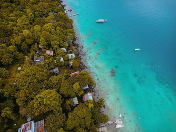 High angle view of plants by sea