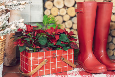 Rustic holiday home decor with vintage tin filled with live pointsettia plants and red boots