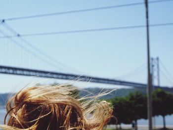 Close-up of plant against white background