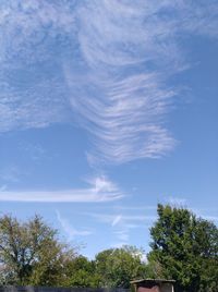 Low angle view of trees against sky