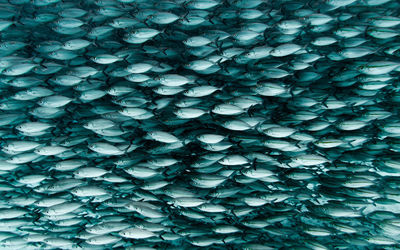 Full frame shot of abstract pattern