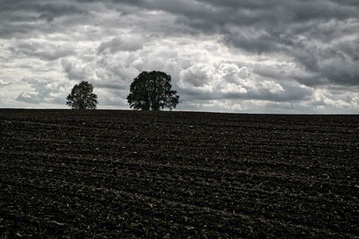 Scenic view of landscape against cloudy sky