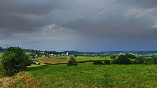 Scenic view of agricultural field against sky