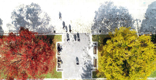 High angle view of trees in park during autumn