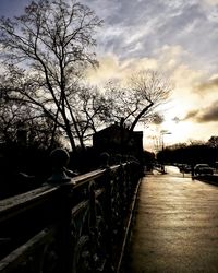 Bare trees against sky