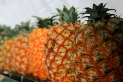 Close-up of fruits