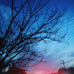 Low angle view of silhouette bare tree against sky at dusk